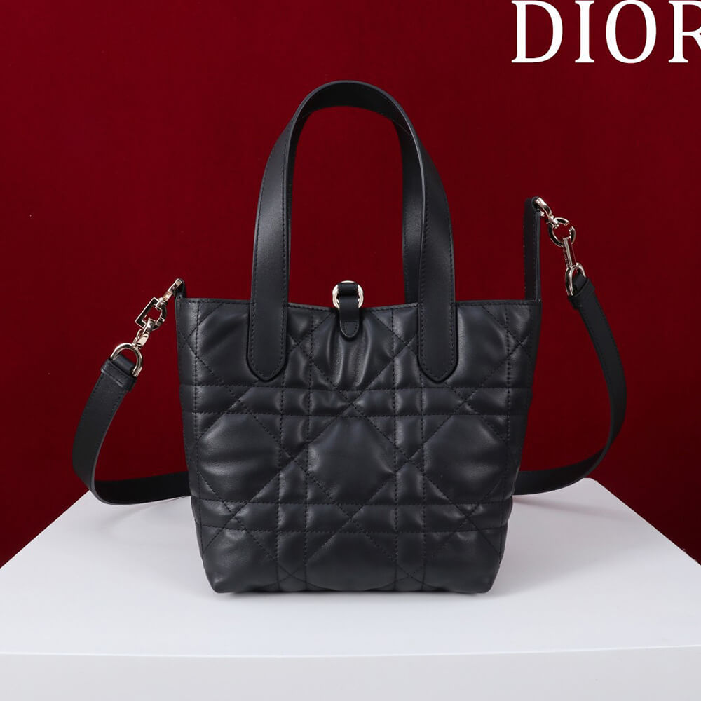 Small Dior Toujours Vertical Tote Bag(high-end grade)
