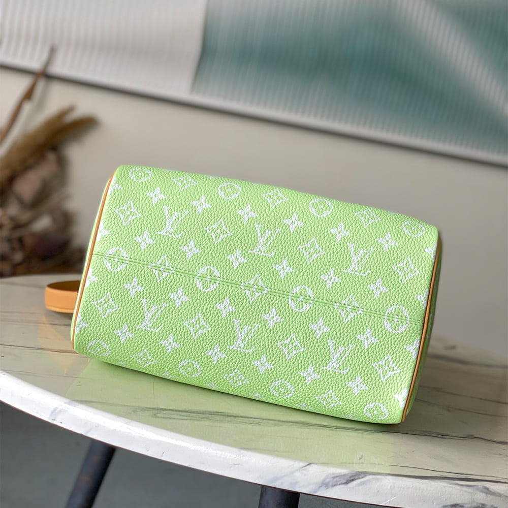 LV Speedy P9 Bandouliere 30(HIGH-END GRADE)