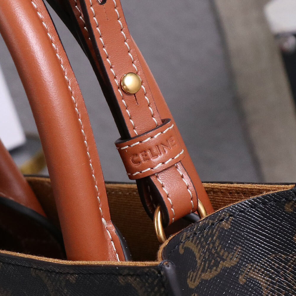 CELINE Mini Vertical Cabas IN Triomphe Canvas with Celine print