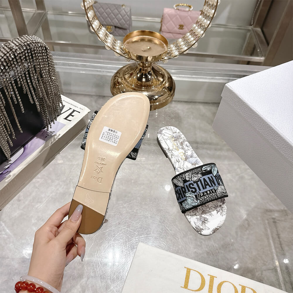 DIOR Dway Slide