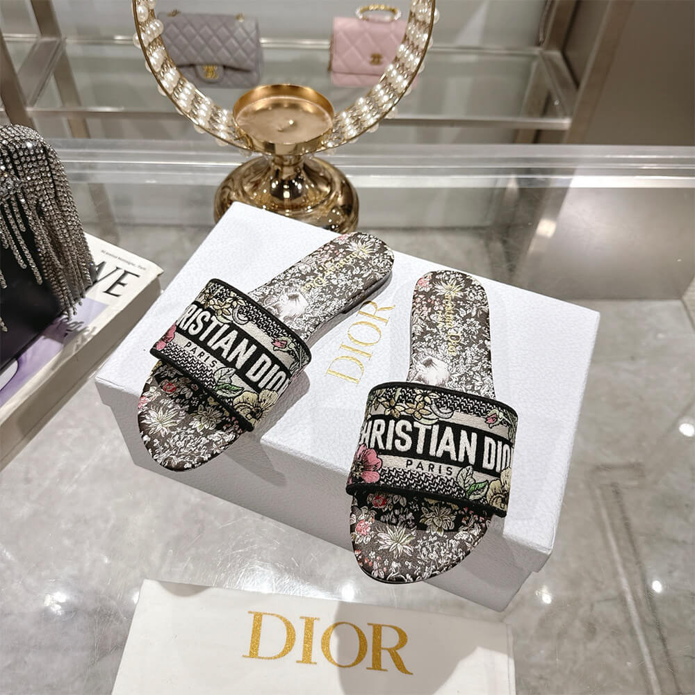 DIOR Dway Slide