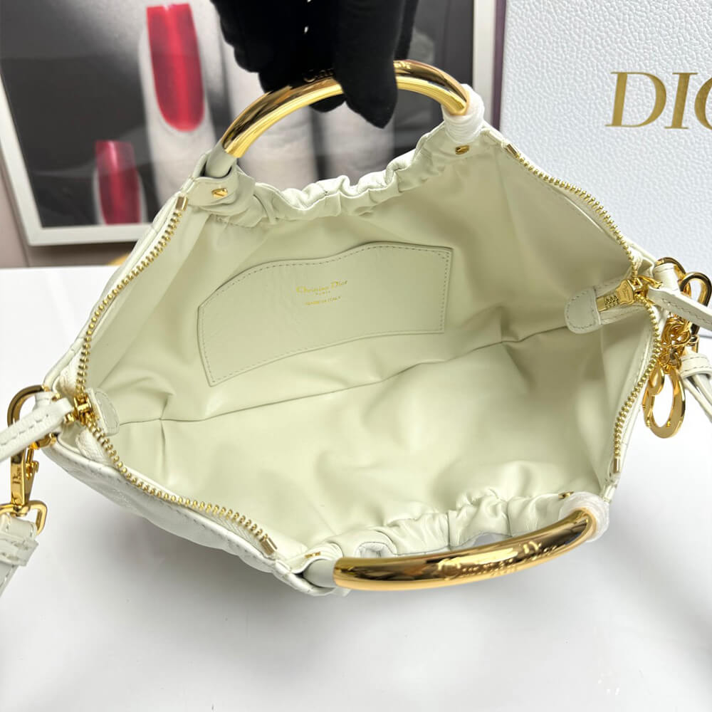 Dior Walk in Dior Purse