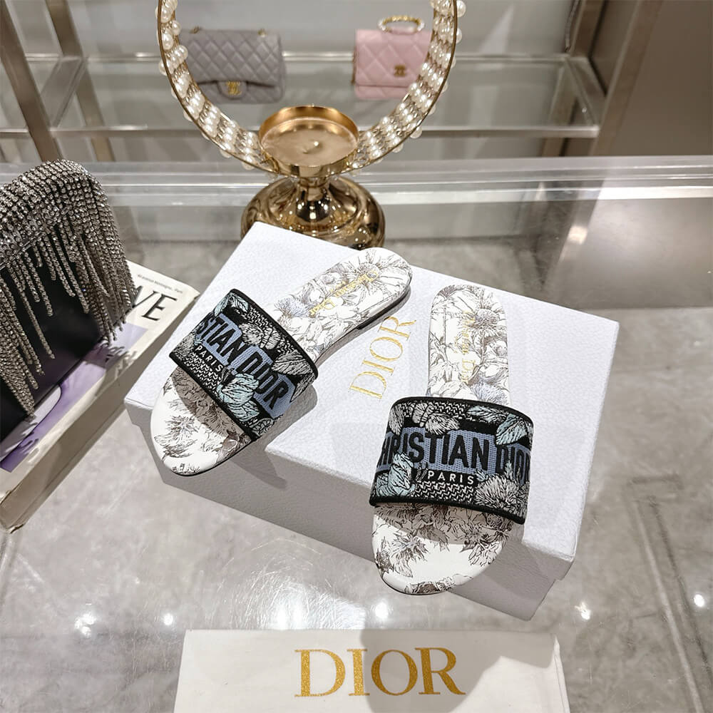 DIOR Dway Slide